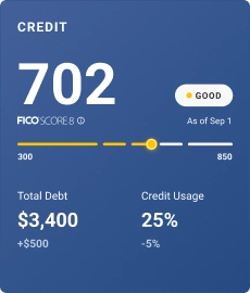 Graphic credit score feature.