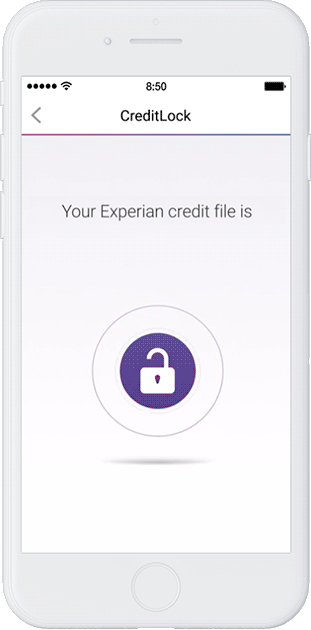 Phone showing credit lock locking